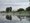 Ein weißer Schwan schwimmt ruhig auf einem nebligen Fluss. Im Hintergrund säumen grüne Bäume und Sträucher das Ufer, die sich spiegelbildlich im Wasser widerspiegeln. Der Himmel ist leicht bewölkt, was auf einen frühen Morgen hindeutet.