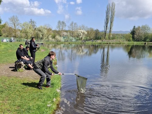 Vier Personen am Ufer eines Sees. Eine Person nutzt einen Kescher, um einen Fisch aus dem Wasser zu ziehen, während drei weitere Personen in der Nähe zuschauen.
