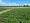 Ein sonniges Landschaftsbild zeigt ein dichtes grünes Ackerfeld im Vordergrund, das sich bis zu einem gelben Feld erstreckt. Im Hintergrund säumen Bäume die Horizontlinie unter einem blauen Himmel mit weißen Wolken.