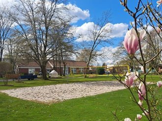 Ein Sandvolleyballfeld mit gelbem Netz liegt auf einer grünen Wiese. Im Vordergrund rechts blühen rosa Magnolien. Im Hintergrund sind Bäume und ein Backsteingebäude unter einem blauen Himmel mit weißen Wolken zu sehen.